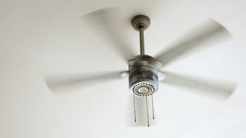 Clean your blades to help with a noisy ceiling fan.